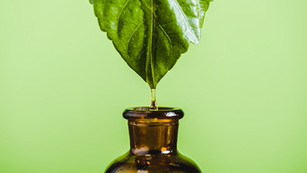 Ätherisches Öl tropft vom Blatt in eine Glasflasche