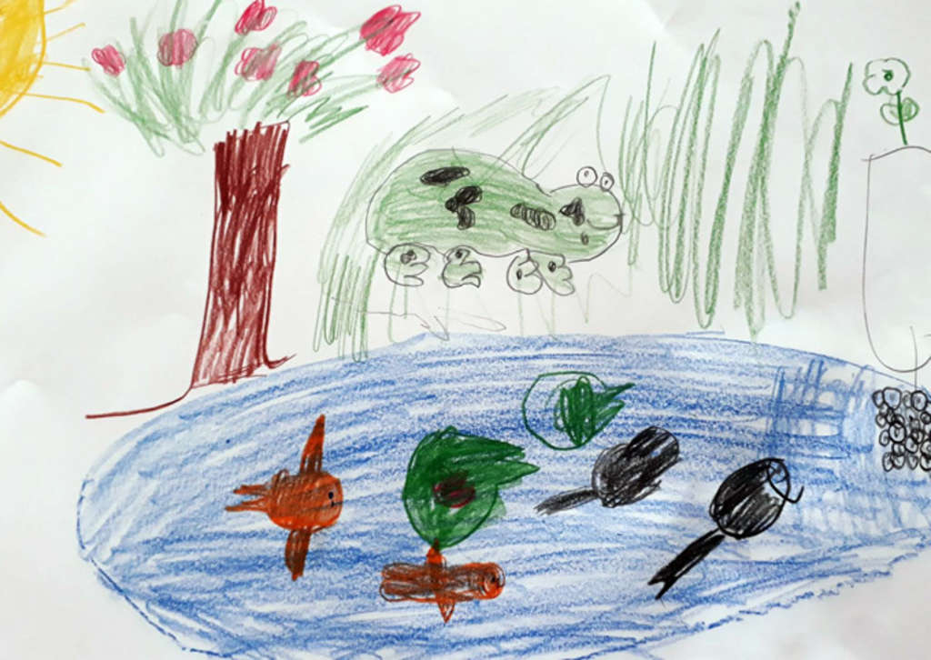 Januar: Teichfrosch (Pelophylax esculentus) - 1. Preis Malwettbewerb