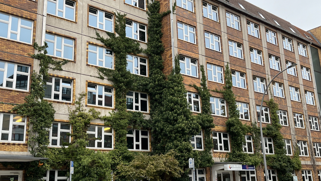 Bodengebundene Fassadenbegrünung