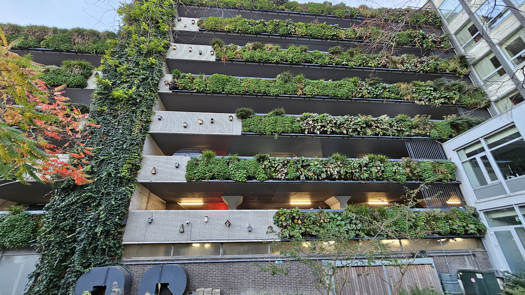 Beispiel Modulare wandgebundene Fassadenbegrünung