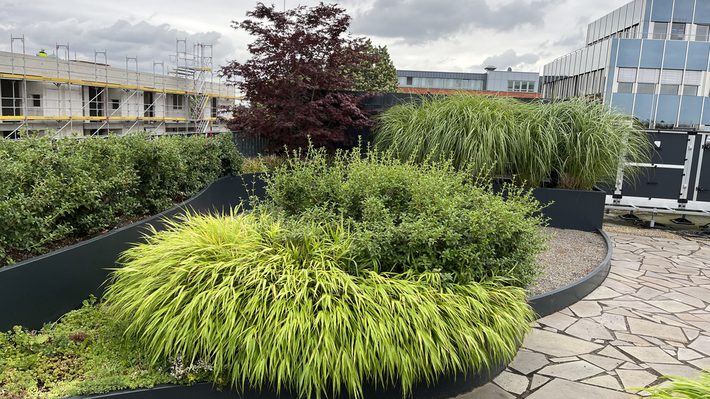 intensive Dachbegrünung, Link auf GRÜN hoch 3 - Dachbegrünung