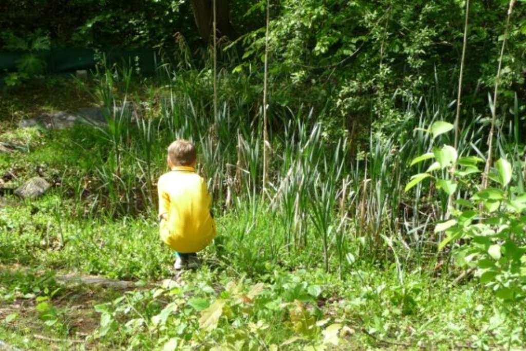 Link auf /artikel/69603/index.html