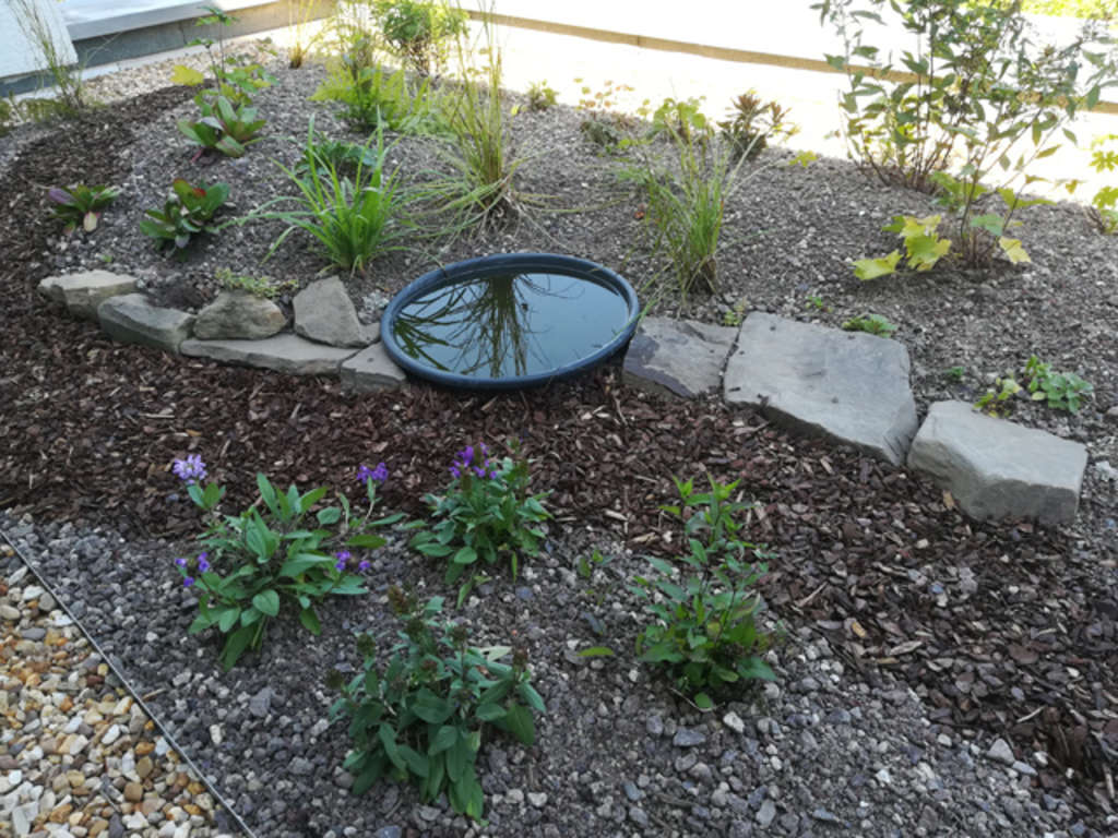 Flachdach Kalmünter Weg nachher