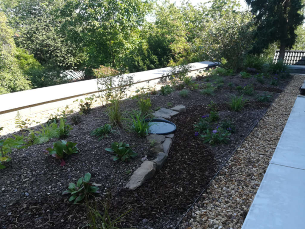 Flachdach Kalmünter Weg nachher