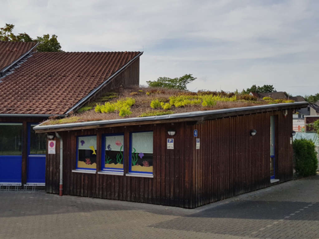 Flachdach begrünt Kita Bergisch Gladbach