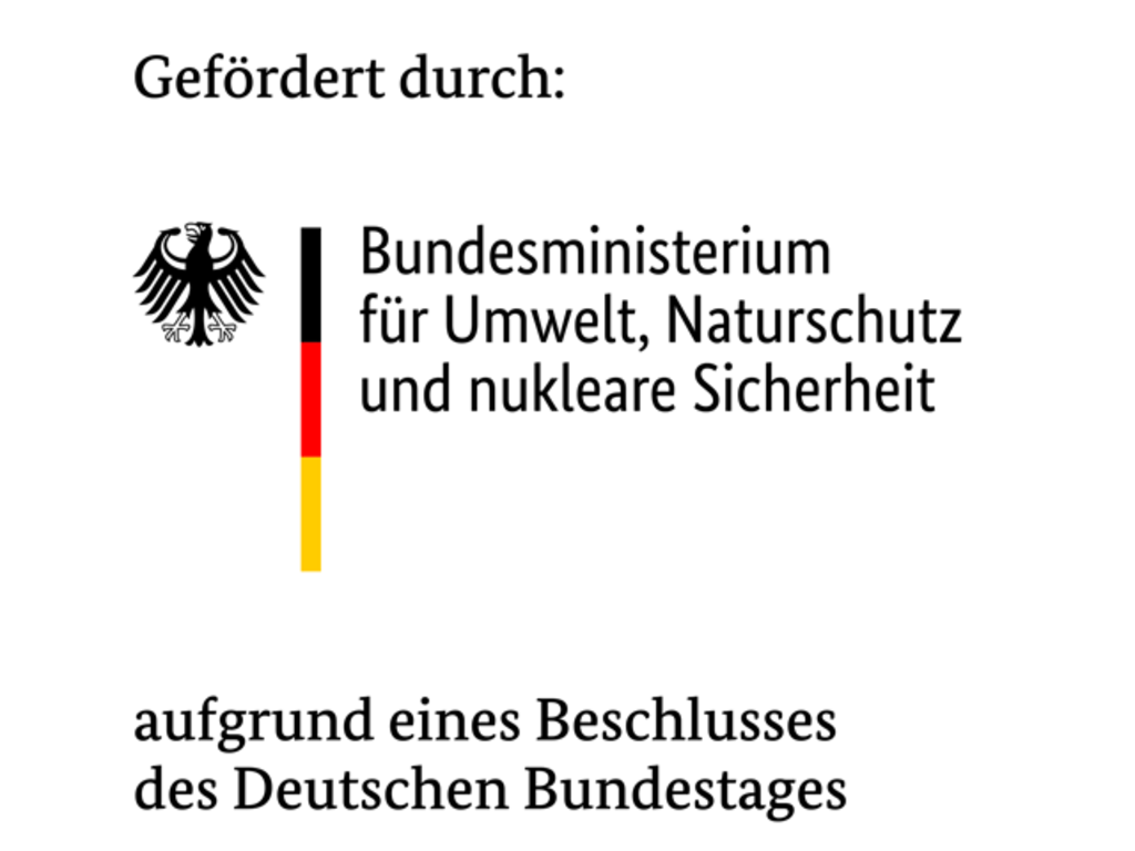 Logo Bundesministerium für Umwelt, Naturschutz und nukleare Sicherheit