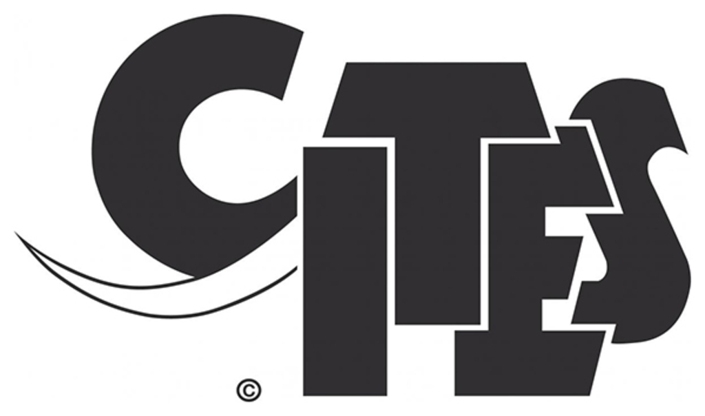Cites Logo