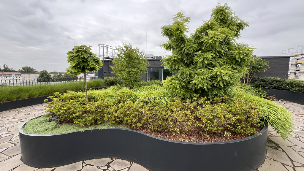 Dachterrasse mit grünen Sitzinseln