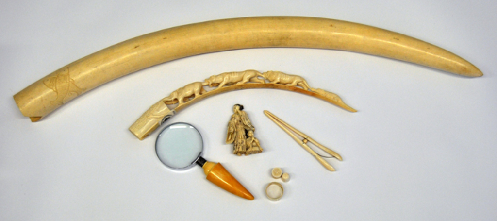 Gegenstände aus Elfenbein