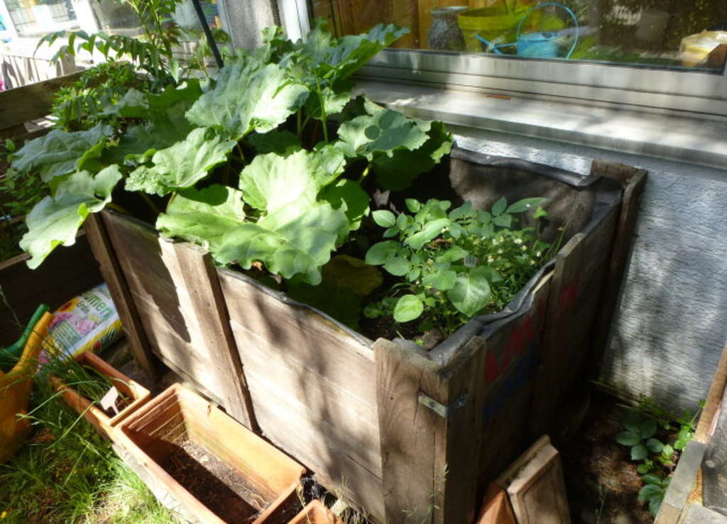 Hochbeete an der GGS Schmidtgasse