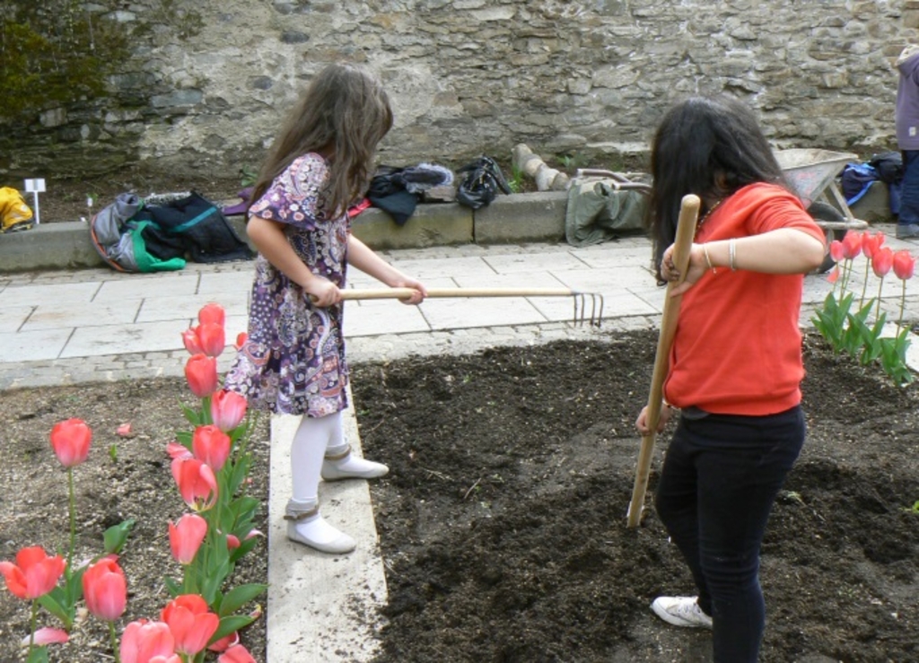 Gartenarbeit_Harken1