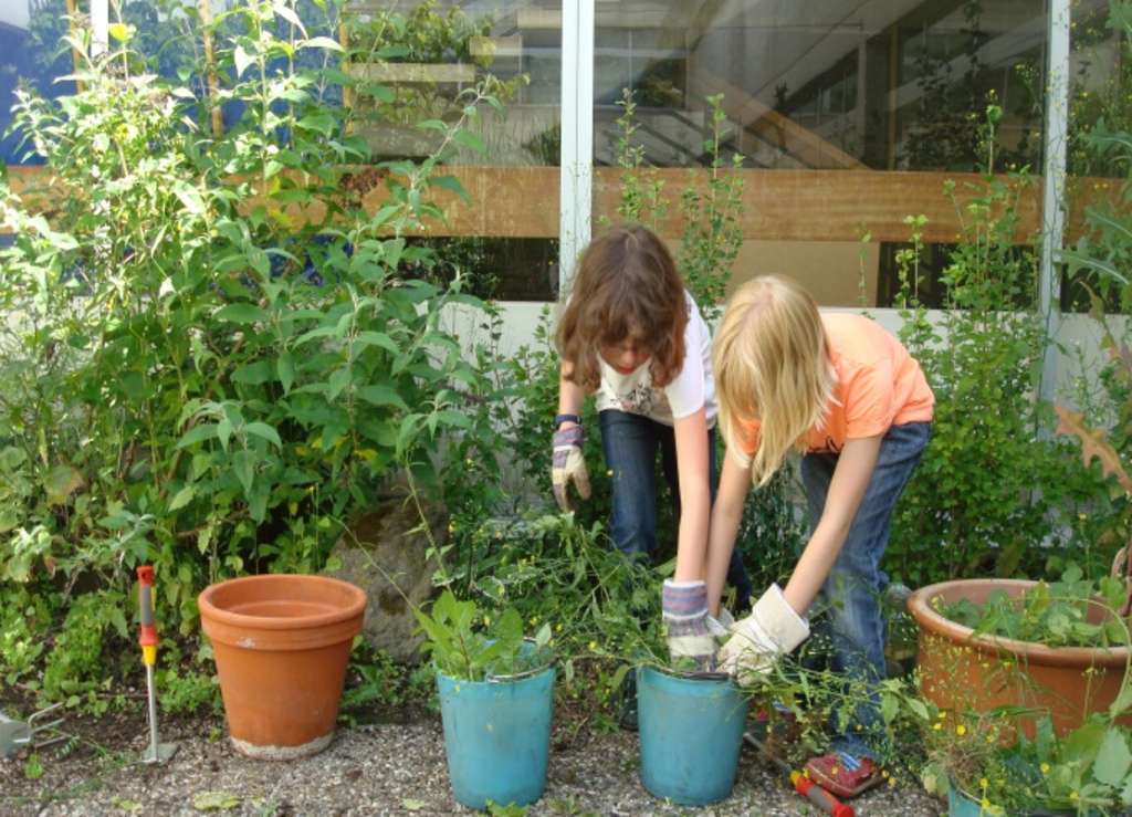 Gartenarbeit Umtopfen