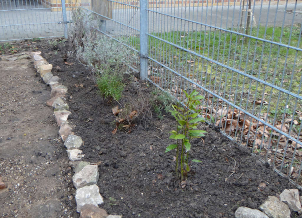 Pisterhof Kräuterbeet