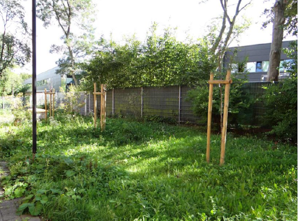 Pistorhof Schulgarten