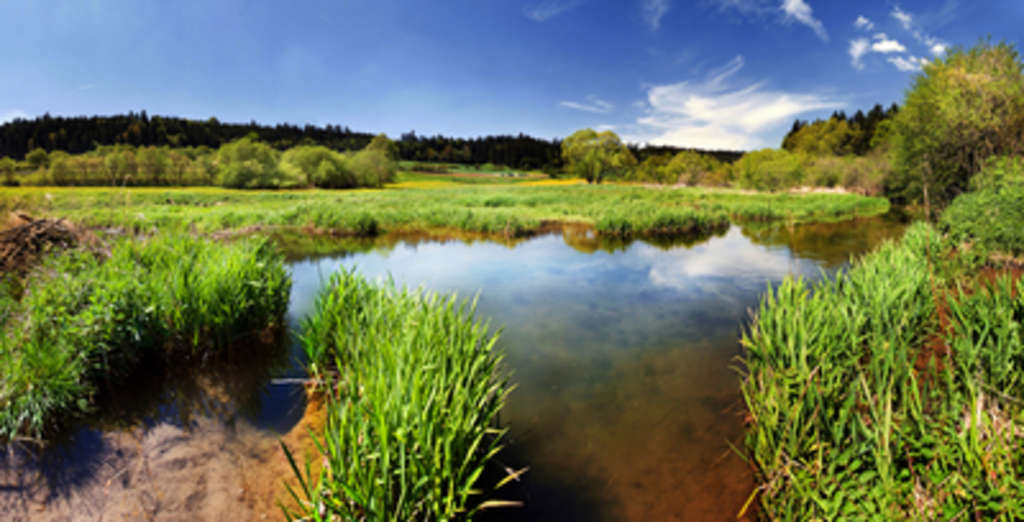 Wiesen mit Grundwasser
