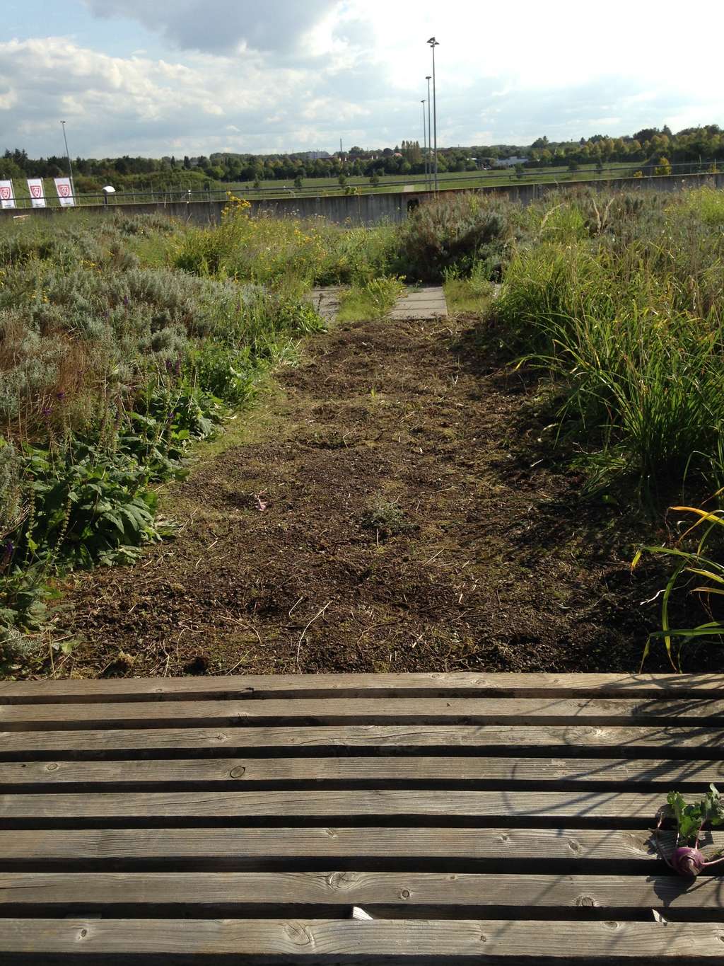 GS Rodenkirchen Dachterasse