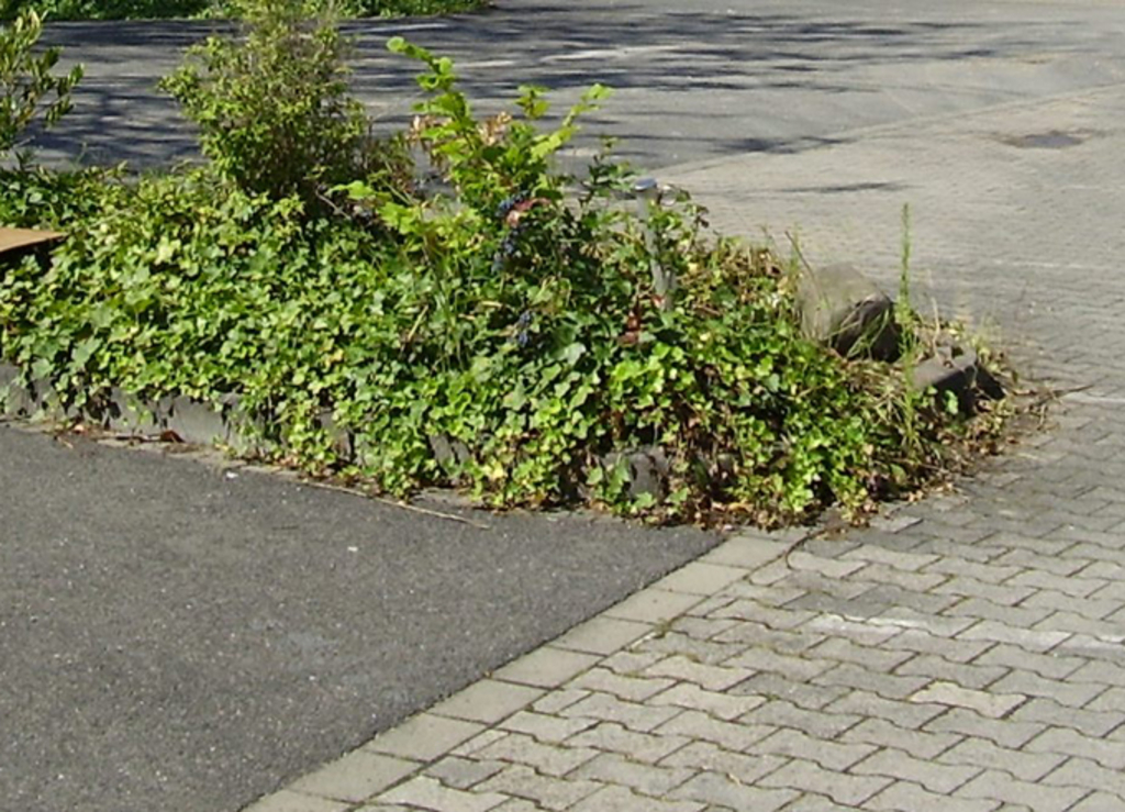 Hohe Bodenversiegelung