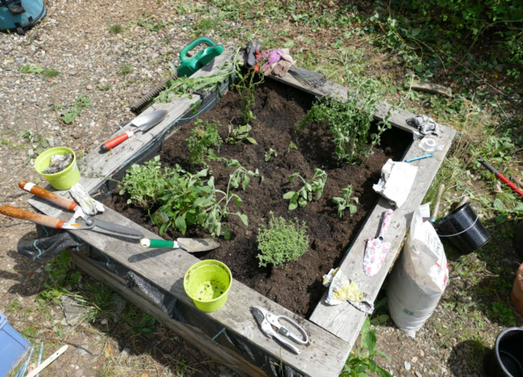 KGS Zenthofstraße Hochbeete