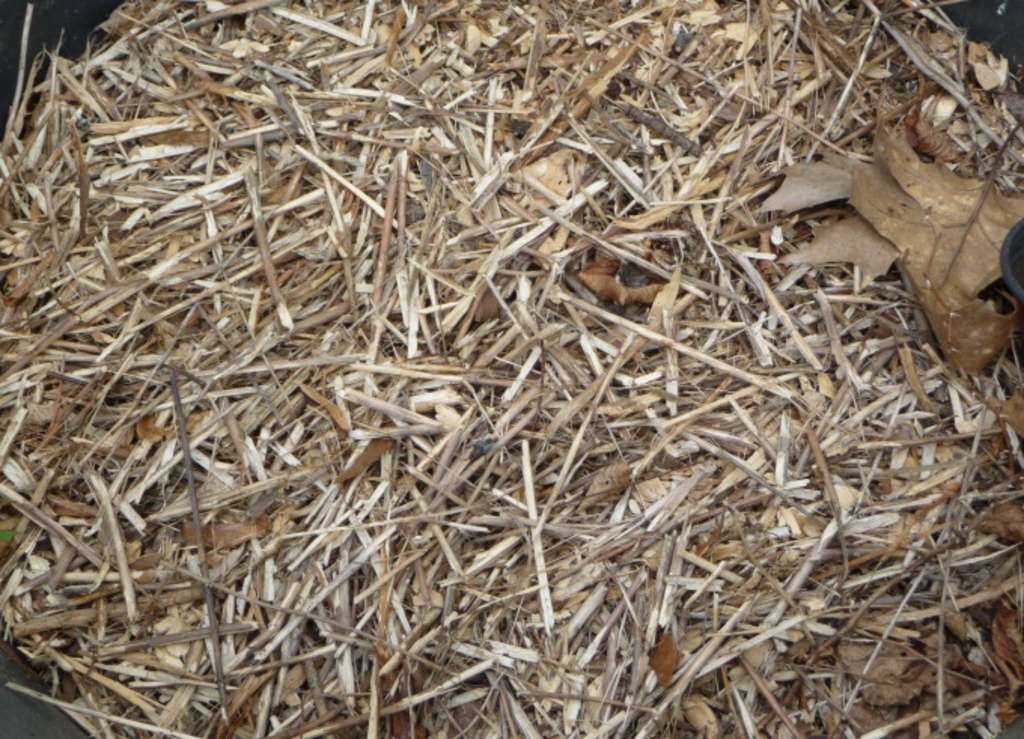 Mulch