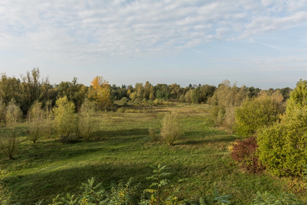 Evtl Ersatz Für Ginsterpfad C Julia Von Sc, Link auf Naturschutzgebiet "Am Ginsterpfad"