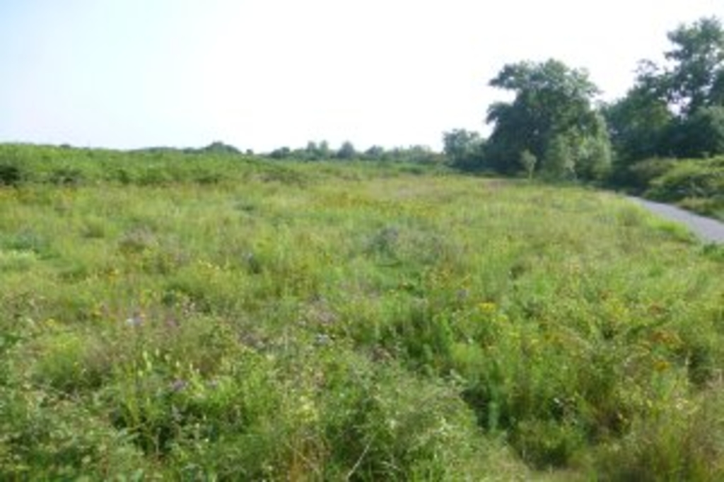 Link auf /artikel/71315/index.html