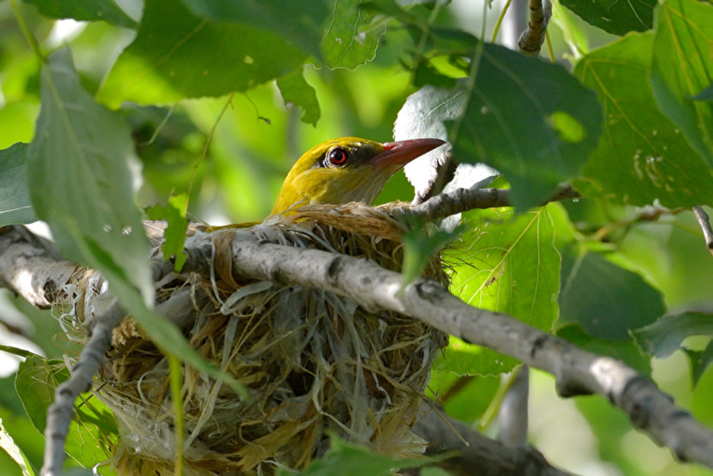 PantherMedia B213710892