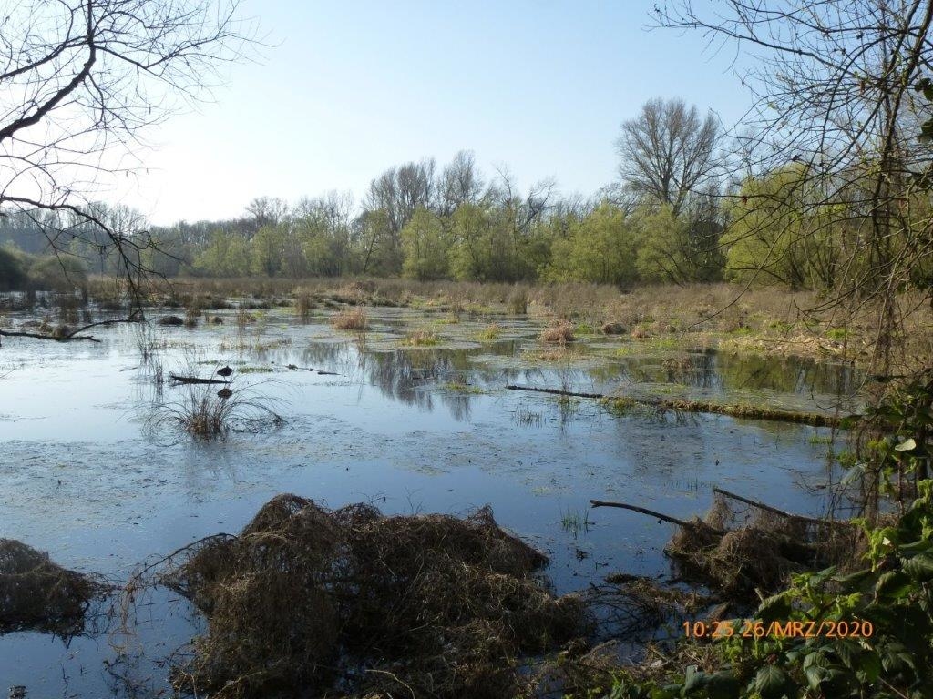 Worringer Bruch im März