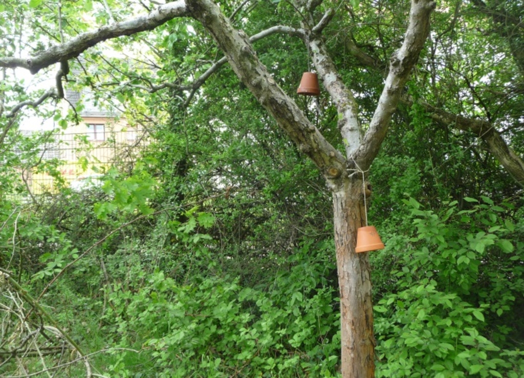 Nützlinge Ohrwurmhotel 