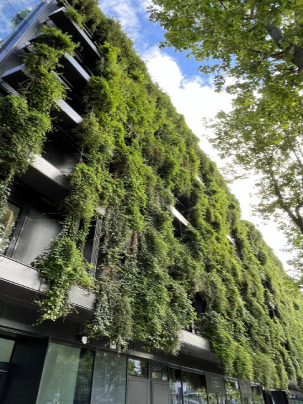 Beispiel Regalbauweise