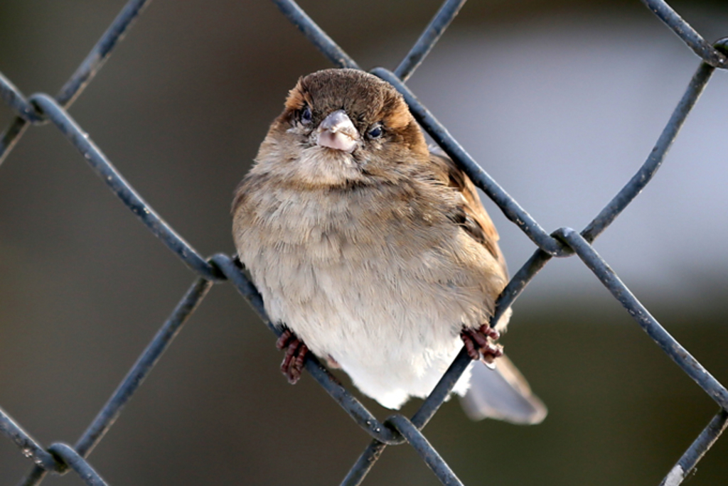 3. Platz beim Fotowettbewerb