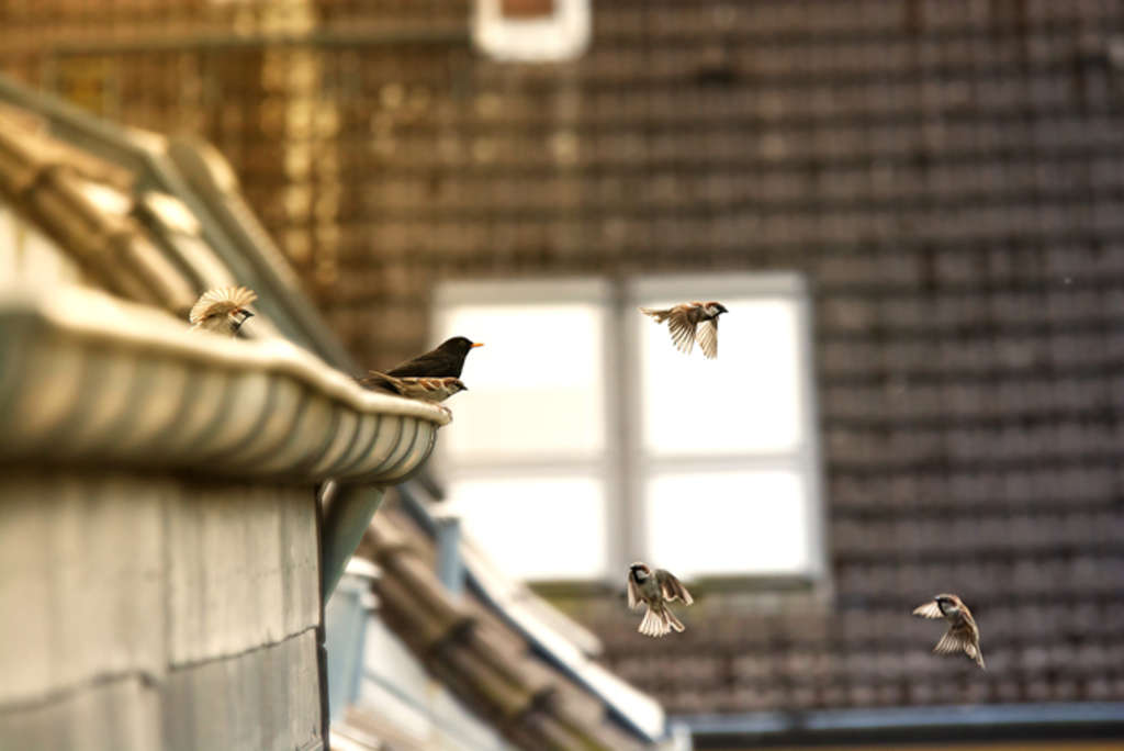 1. Platz beim Fotowettbewerb
