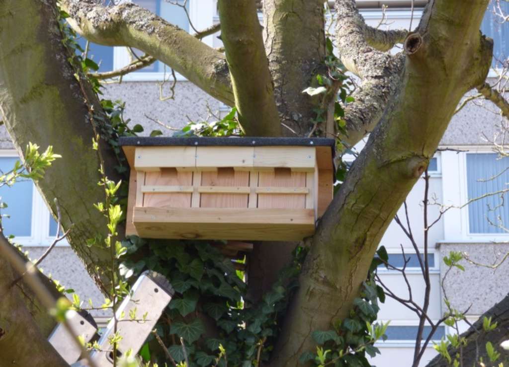 Nistkasten der NABU Kindergruppe 