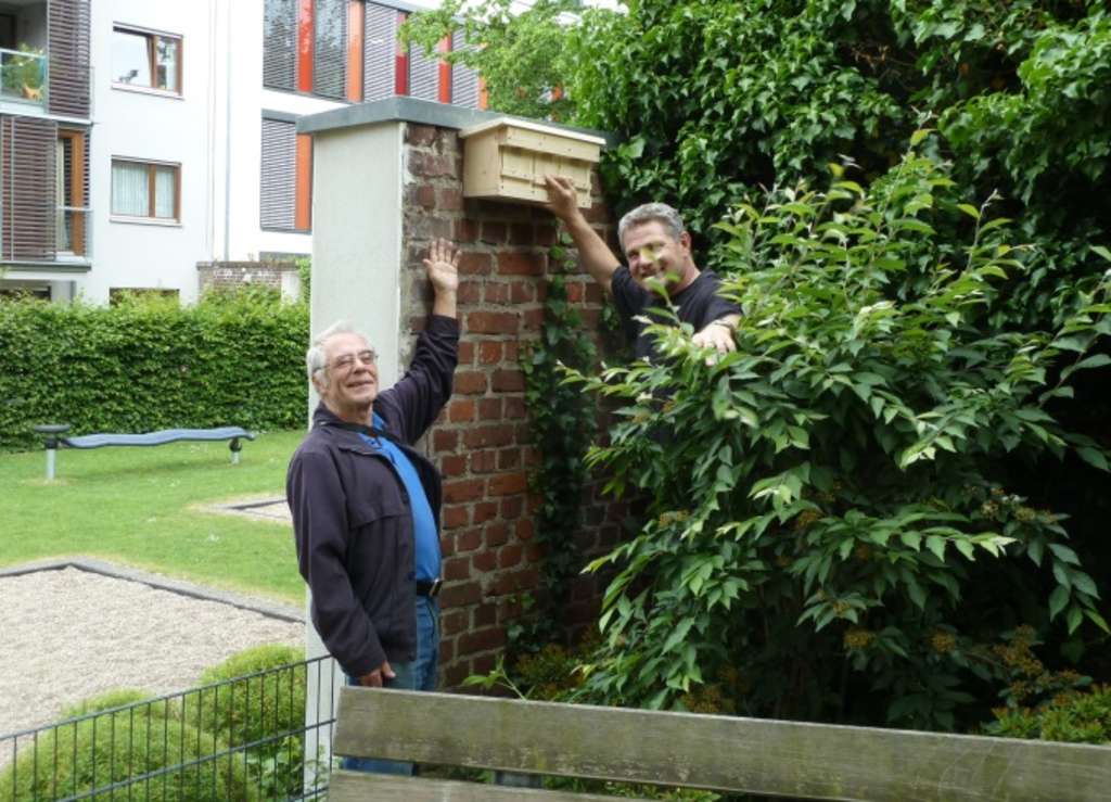 Spatzenprojekt - Elisenstift