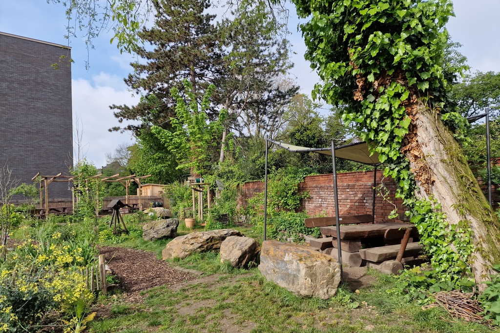 Naturnahes Schulgelände, Link auf Schule blüht auf – Zukunftsfähiges Lernen mit und in der Natur - Stadt Köln