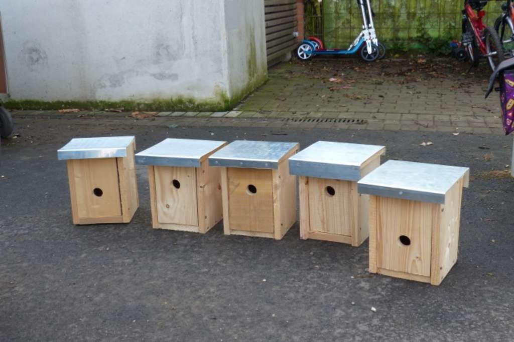 Link auf http://www.bund-rvso.de/nistkasten-meise-hoehlenbrueter.html