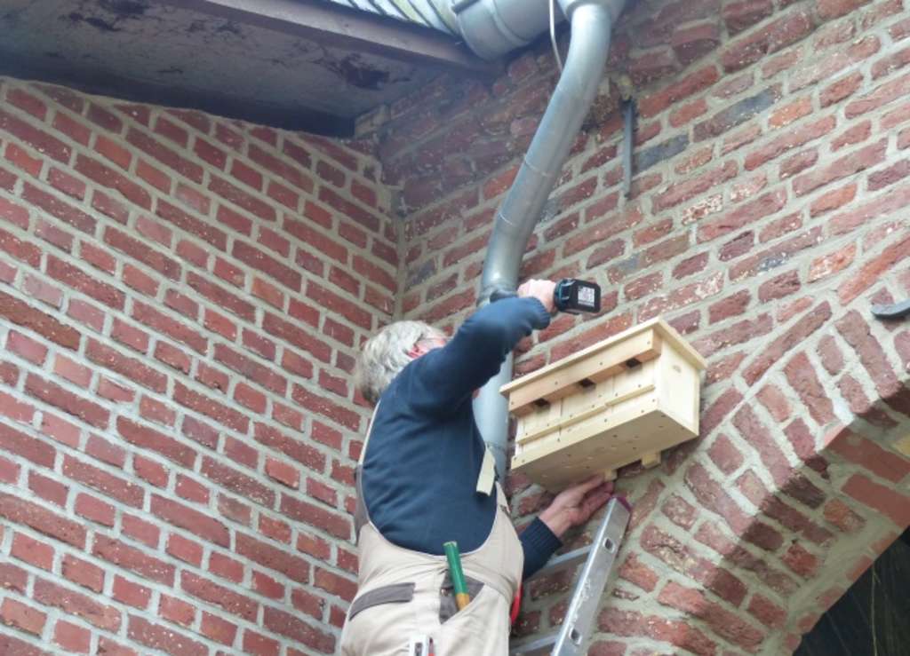 WaldschuleNistkasten