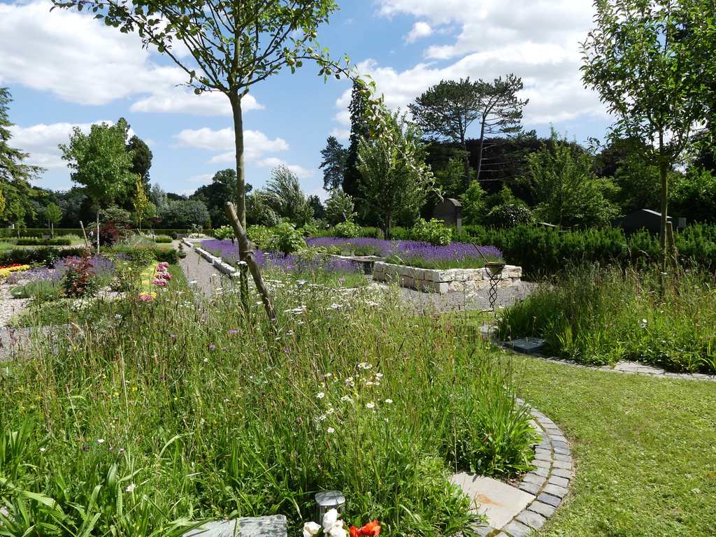 Blühwiesen und Stauden auf einem Friedhof