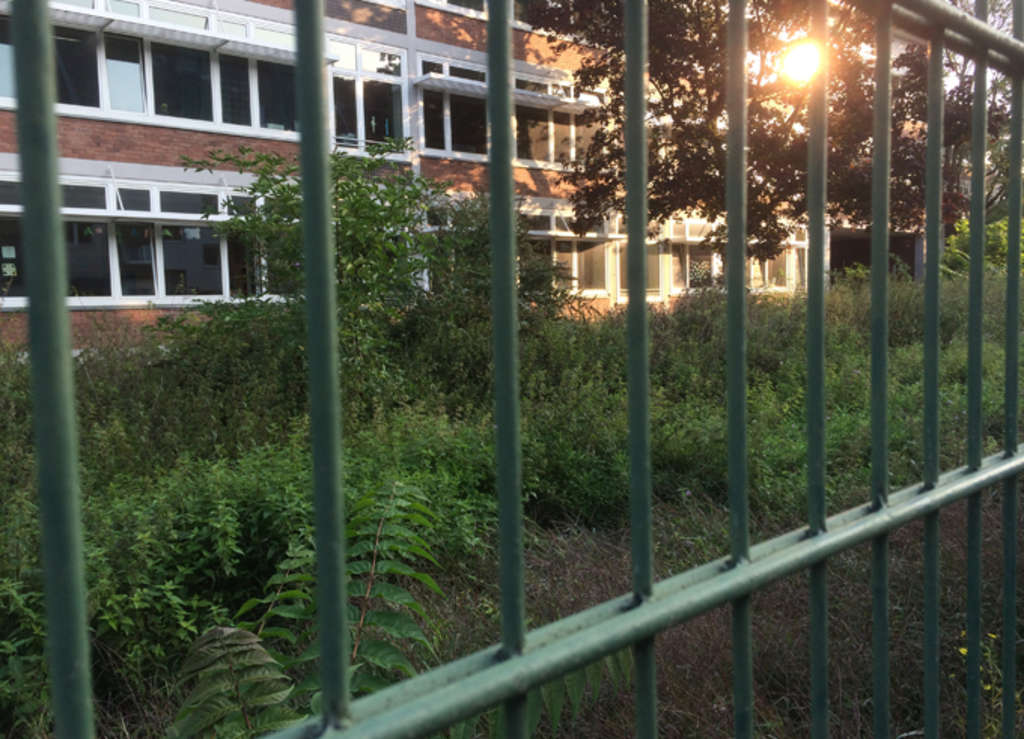 Großer Griechenmarkt