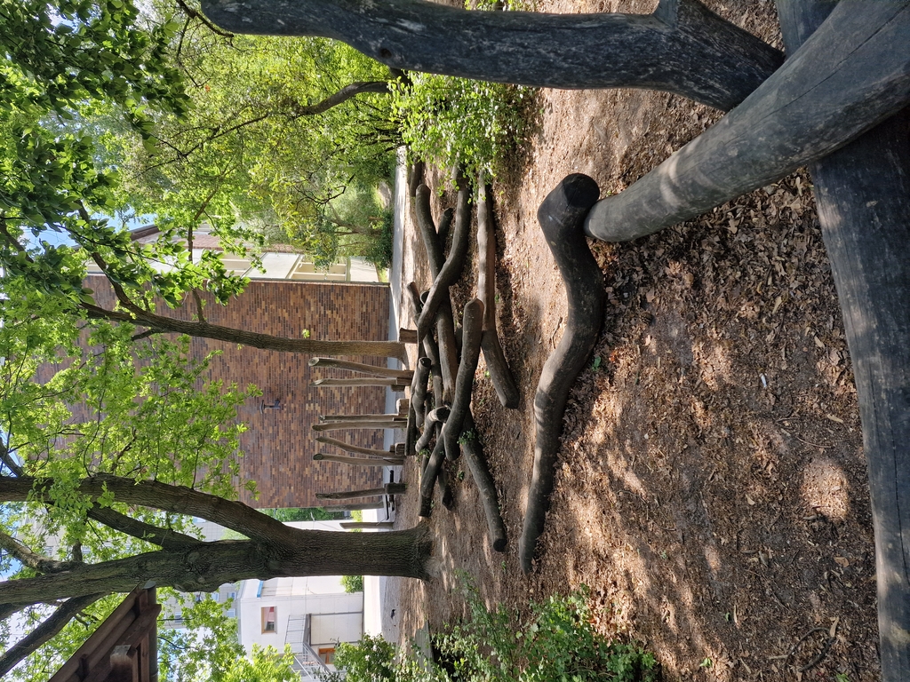 Kletterbereich Baumstämme