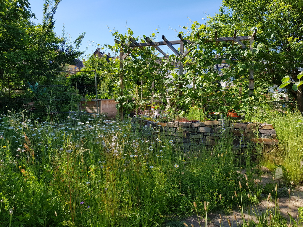 Naturschaugarten Flora