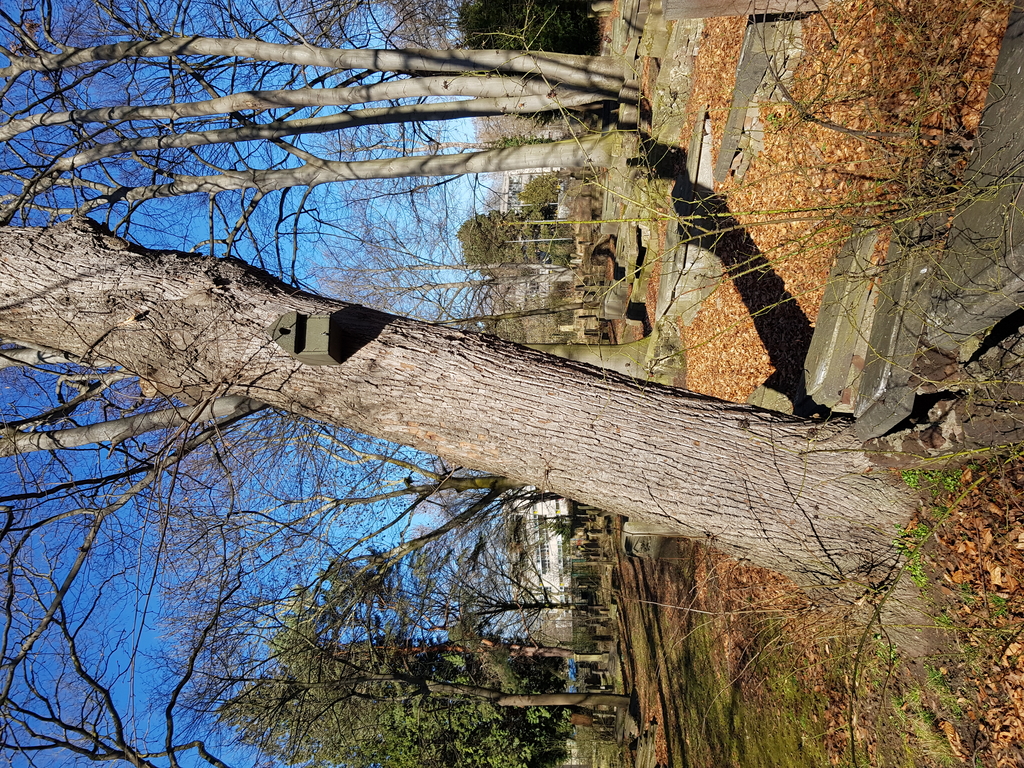 Nistkasten Friedhof