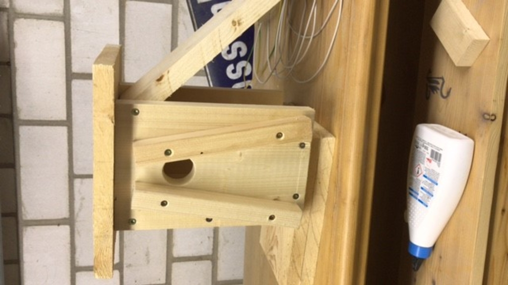 Nistkasten Stadt aktiv