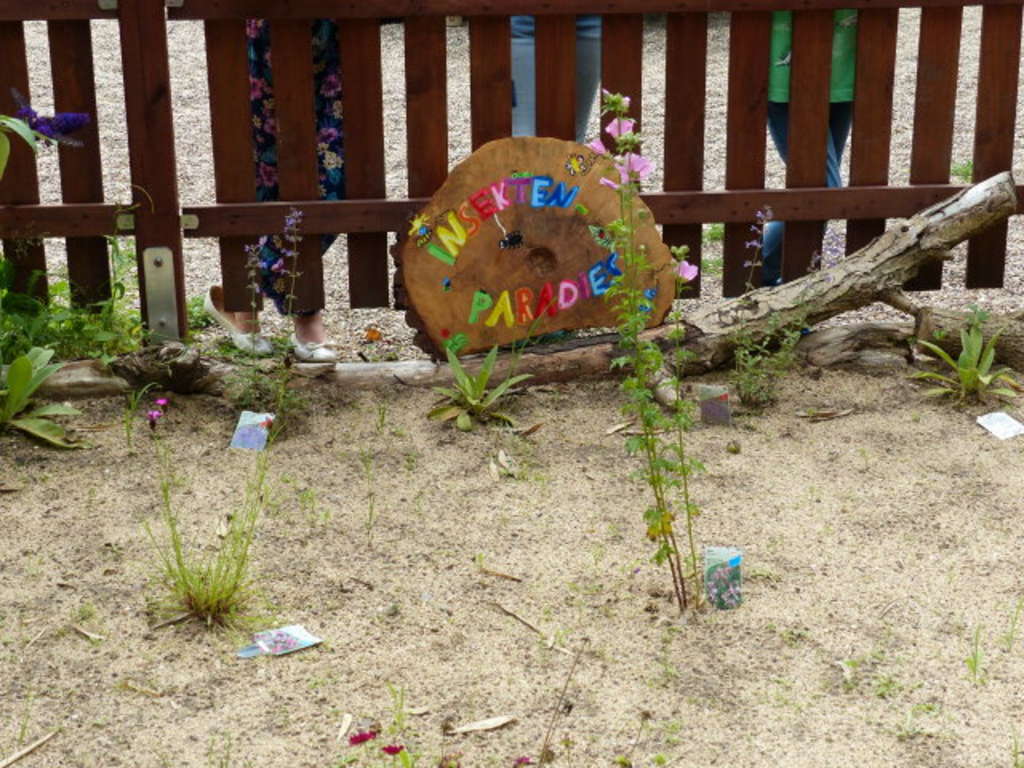 Schulgarten Insektenparadies