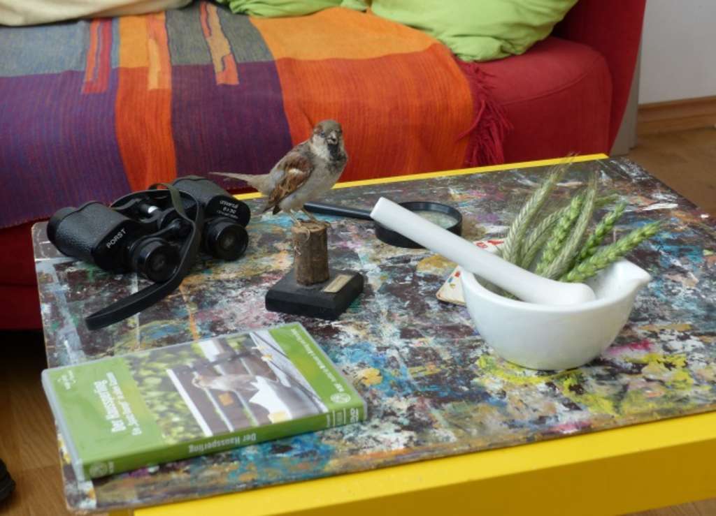 Anschauungsutensilien