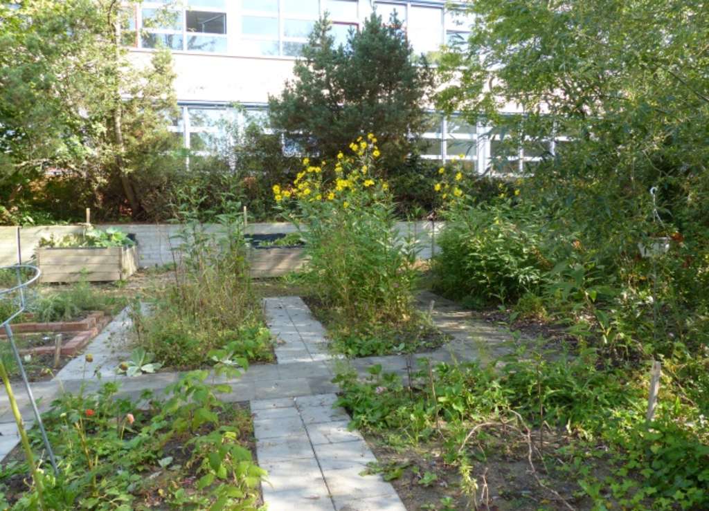 Schulgarten