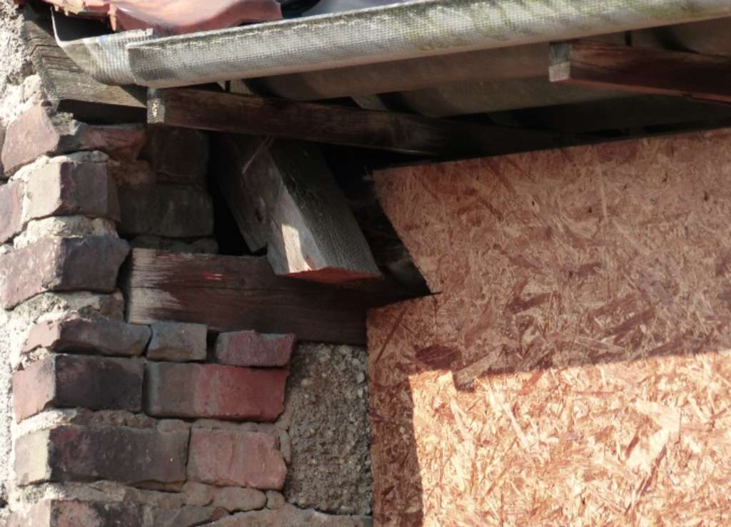 Spatz10 Spatzennistplatz