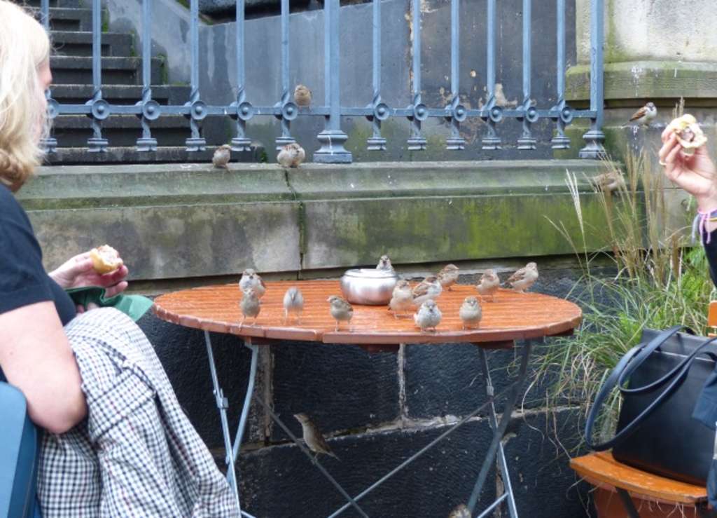 Spatz4 In Restaurant