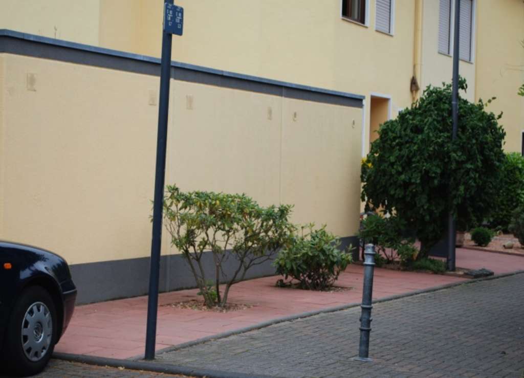 Baumscheibe ohne Wildwuchs