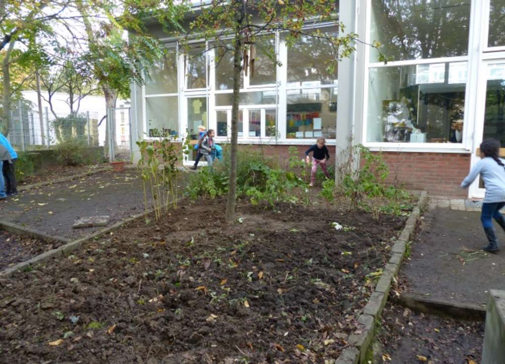 Spatzen_AnlageFutterwiese_2