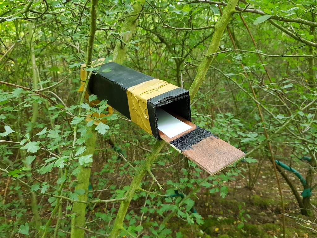 Spurentunnel Gartenschläfer